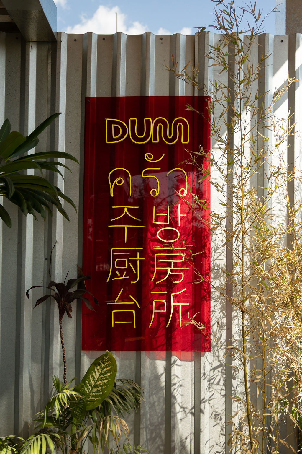 DUM: Cocina Asiatica