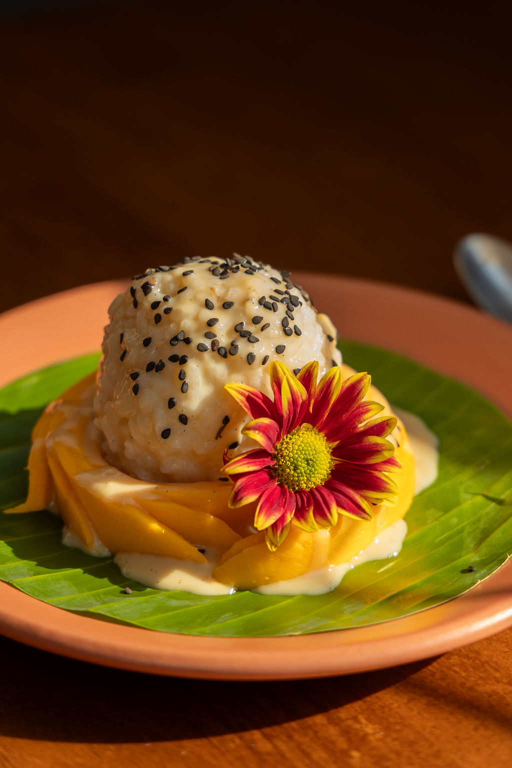 DUM: Cocina Asiatica